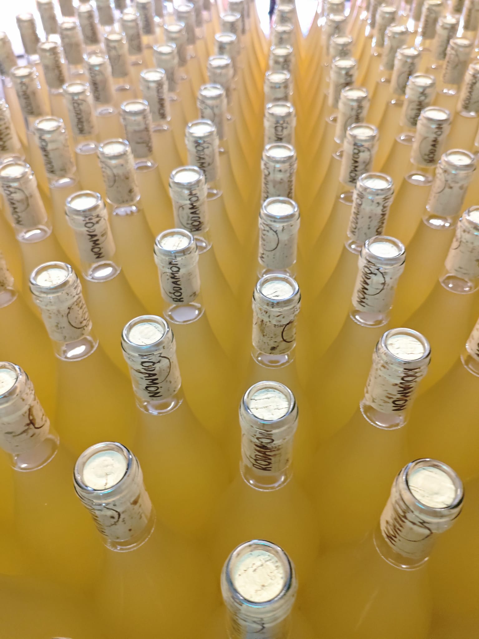 Mínima Intervenció